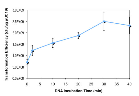Effect of DNA incubation time on NEB Express Iq competent E. coli transformation
